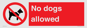 No dogs allowed